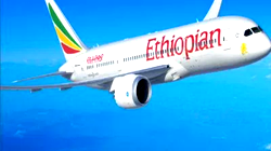 Safety fears about Boeing 737 MAX grip US passengers