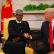 Nigeria@59: Drive out Boko Haram, ISWAP, Trump tells Buhari in congratulatory message