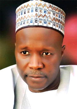 Election: `Jubilation` as INEC declares APC Inuwa Yahaya  winner in Gombe