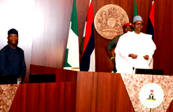 Set up pharmaceutical hubs now, NAIP tells FG