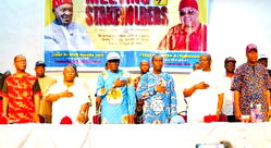 Lagos gov poll: Ohanaeze Ndigbo backs Sanwo-Olu, seeks six slots in cabinet
