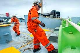 'Why FG must take advantage of global seafarers' shortfall'