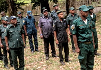 Deforestation: Edo govt charges forest patrol team on intensified operations