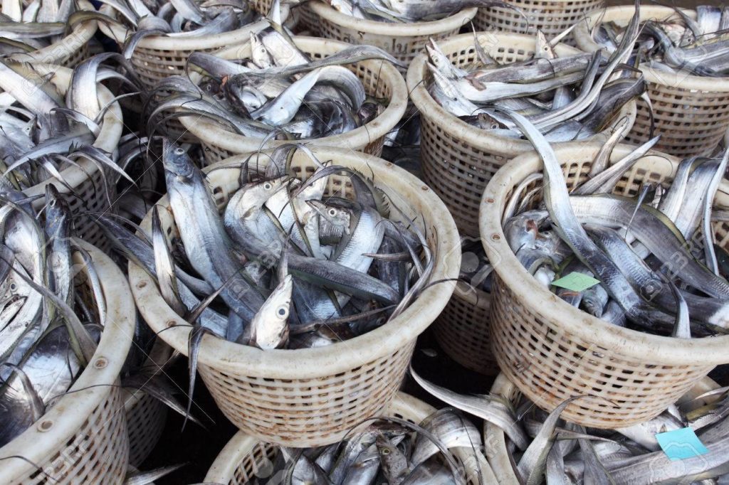 Unhealthy profit: Fresh fish vendors now using dye to fake freshness
