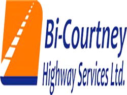 FAAN affirms Bi-courtney’s 36-yr concession