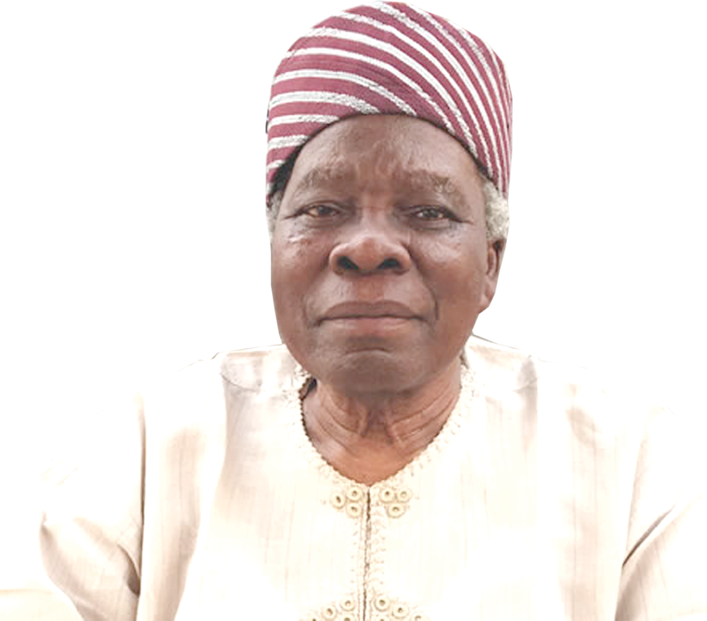 Nigeria not working for anyone, let's retrace our steps ― Akintoye