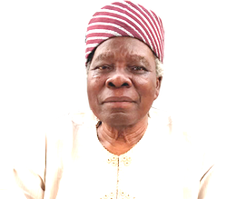 Nigeria not working for anyone, let’s retrace our steps ― Akintoye
