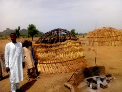 Revealed! True story of onion leaves-eating Bauchi IDPs