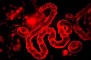 US warns Ebola outbreak on scale of largest ‘is possible’