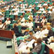 Breaking: Reps ask Buhari to rescind executive decision on withdrawal of licensed gun