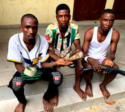 North now land of bandits, says Northern Elders Forum