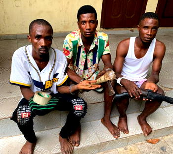 North now land of bandits, says Northern Elders Forum