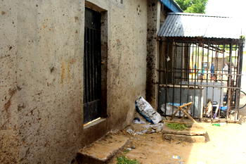 Boko Haram kill 14 loggers in Borno