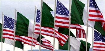 Nigerian Missions pledge to protect Nigerians in U.S.