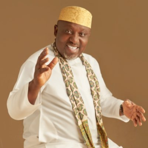 Culture and Tourism not my area of expertise, says Senator Okorocha