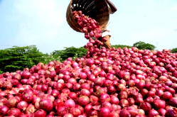 Nigeria produces 2m metric tonnes of onions annually ― Agric Minister