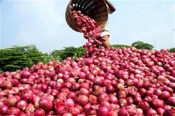 Nigeria produces 2m metric tonnes of onions annually ― Agric Minister