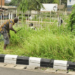 Nine more motorists get community service for flouting traffic laws in Edo