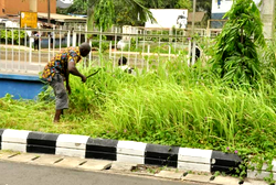 Nine more motorists get community service for flouting traffic laws in Edo