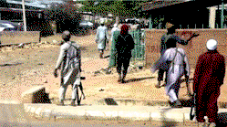 Killing fields of North-west: They killed my husband,  our three children in my presence – Zamfara survivor