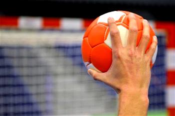 Coach tasks handball federation on standards