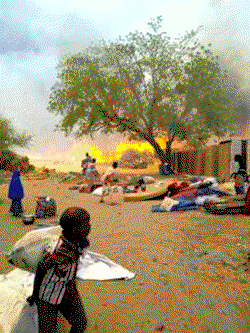 FG sets up panel to probe Ngala IDPs’ camp fire 