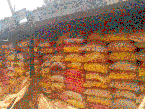 Rice, border