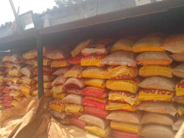 Border closure: Nigerians shouldn’t panic over scarcity of rice ― RIFAN