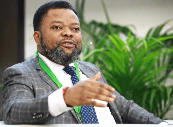 Some Nigerian ambassadors serving abroad cannot pay their children’s school fees — Ofehe