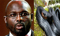 Breaking: Snakes chase Liberian President ‘George Weah’ away from his office