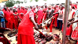 Photos:  Benin Kingdom invokes age-long traditional practice to cleanse the land  of robbery, cultism, kidnapping