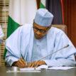2019 Budget: Buhari to spend N1bn on travels