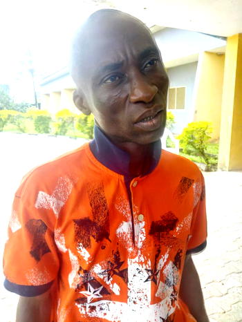 16 men including homosexuals, brothel owner, underage girls in custody
