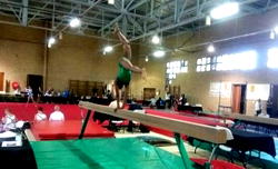 Nigeria on cause to raise Olympic champions in gymnastics — Coach Asuquo