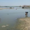 Lake Chad: Beyond the alarm bells