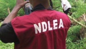 I smuggled cocaine into Nigeria because I needed money for my wedding ― Suspect