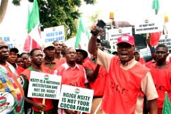 Electricity tariff, petrol price hike: FG moves to abort planned strike, invites Labour for talks