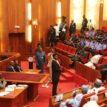 Senate moves to avert impending strike by SSANU,NASU