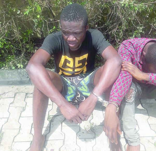 Nigerian Forced Sex - We targeted secondary school girls for marathon sex â€”Suspected cultist...