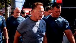 Schwarzenegger attacked at S.Africa sports event