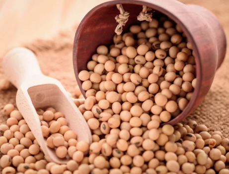 Immune booster: University Don tasks Nigerians on soybeans, fish consumption