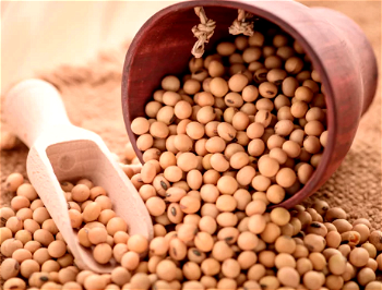 China to import record 100m tonnes of soybeans in 2020 ― COFCO