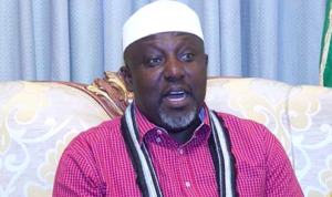 Border closure: Awareness to consume what we produce —Sen. Okorocha