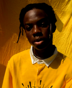 Mavin record’s Rema sounds like Wizkid – fans