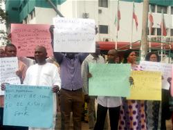 Photos : PDP Staff protesting against Justice Bulkachuwa