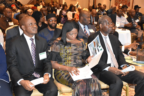 We need your cooperation to achieve govt’s vision, Dabiri-Erewa begs Nigerians in Diaspora