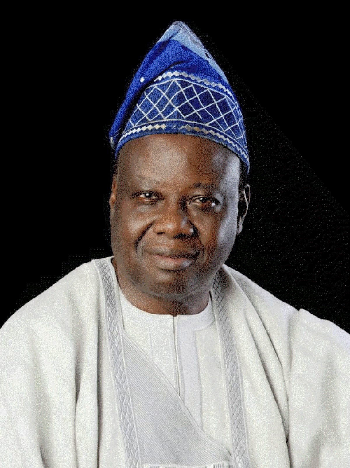 Prof. Lenrie Aina