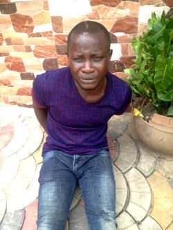 Notorious blackmailer nabbed over fake video clips                      