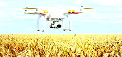 AGRITECH: How indigenous farmers now get international buyers
