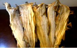 Stock fish: Importers defy FG on importation through land border